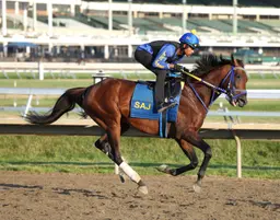 Skippylongstocking has minor foot issue after Monmouth Cup