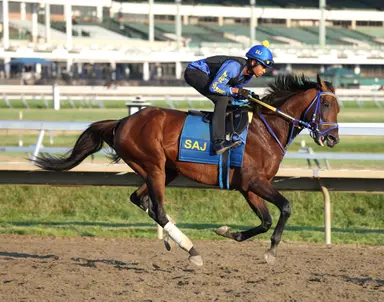 Skippylongstocking has minor foot issue after Monmouth Cup