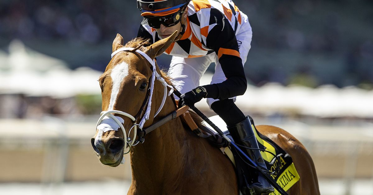 Queen Maxima has BC Turf Sprint as long-range goal