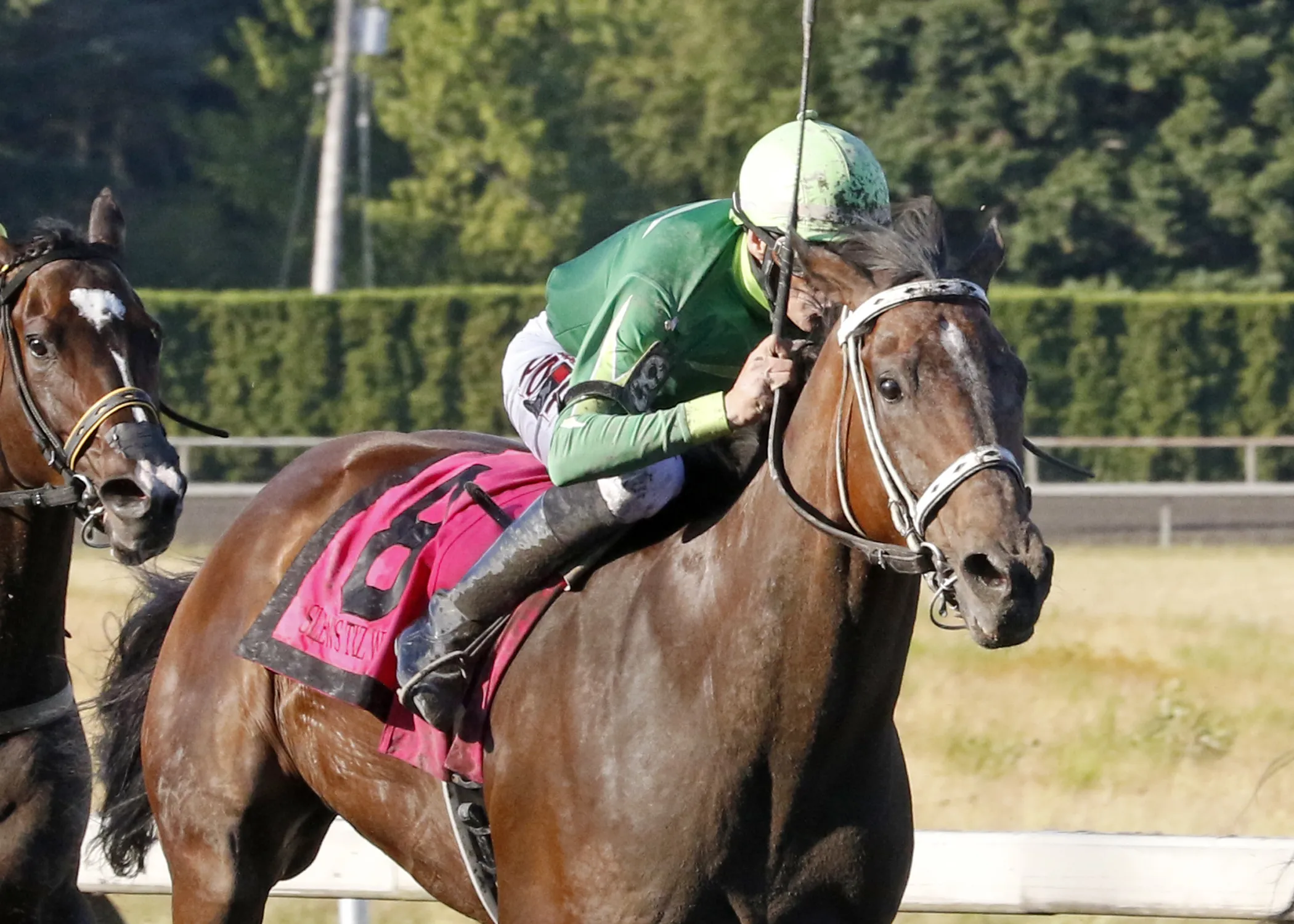 Slew's Tiz Whiz02.7-24-22.RPEMD_.jpg