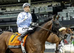 Mandella makes plans for new turf stakes horses