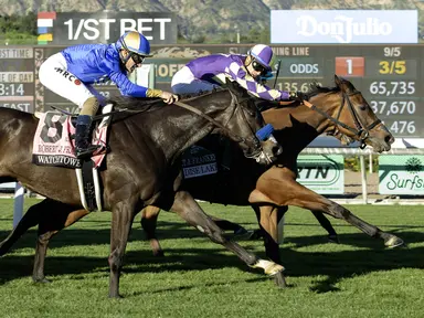 Paradise Lake keeps nose in front to take Frankel Stakes after long drive