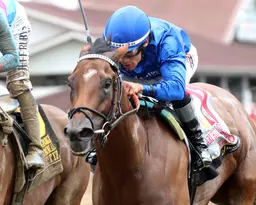 Alvarado sweeps dirt stakes aboard Kapoor, Bendoog