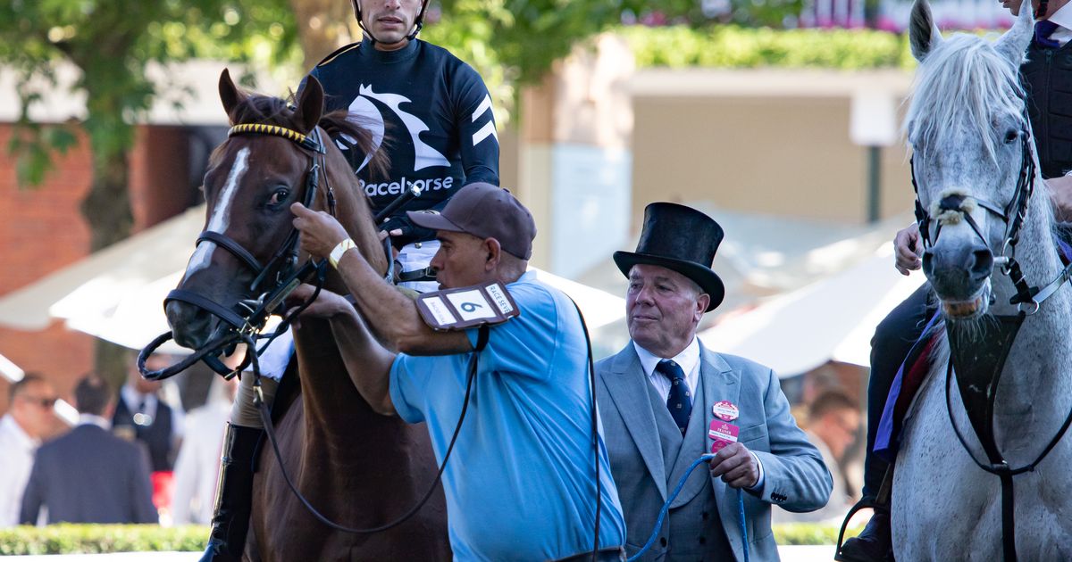 Jockey Juan Hernandez goes fancy with Bacio at Royal Ascot