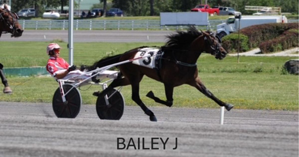 Monticello:  NYSS winner Bailey J smashes track record in career debut