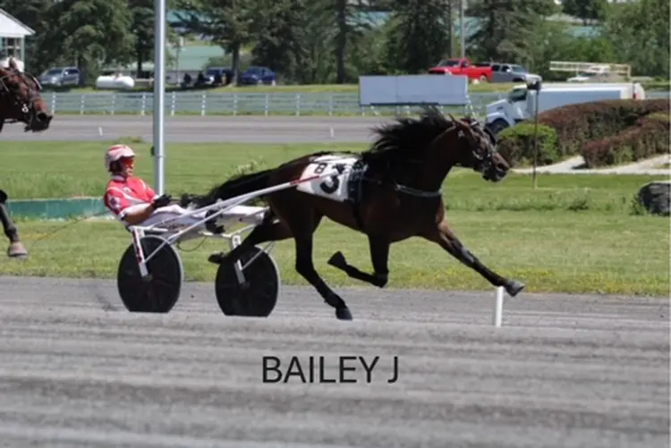 Bailey J 7-20-26