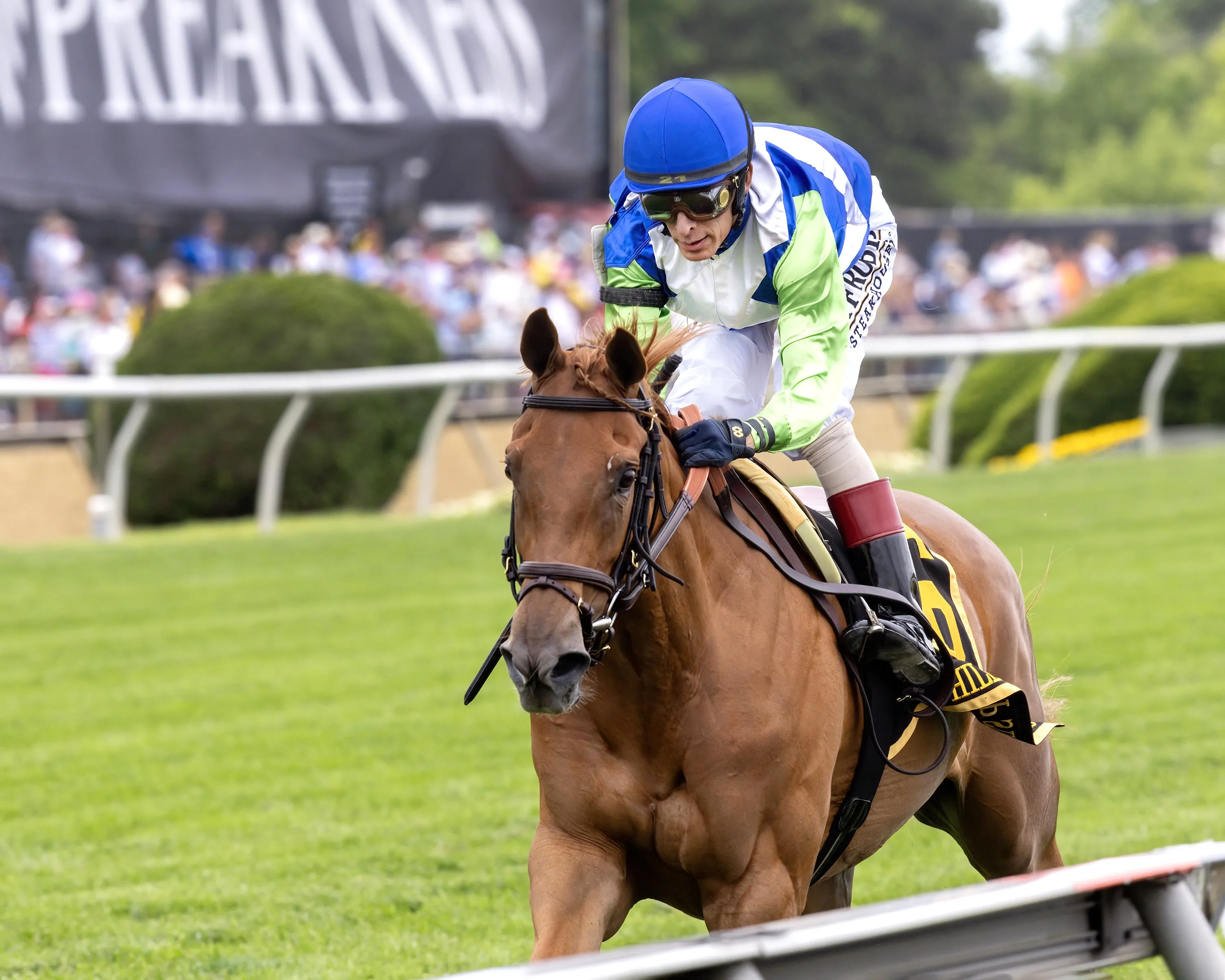She Feels Pretty wins Hilltop at PIM May 17 2024