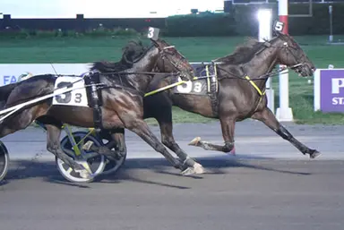 Plainridge:  Posts drawn for Spirit Of Massachusetts Trot, Clara Barton Distaff Pace
