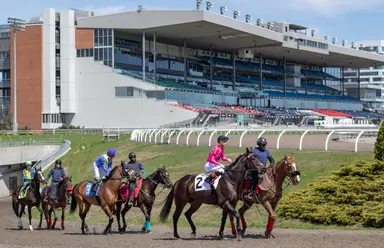 Possible singles add intrigue to late pick five