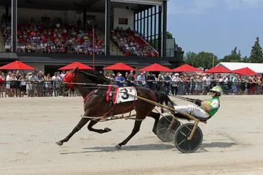 Harness: Jody Jamieson wins 2026 National Driving Championship