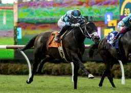Game Warrior back in training