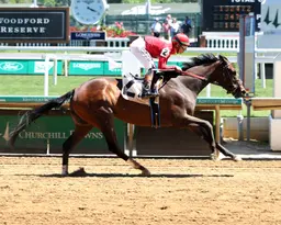 Off dazzling debut, Twirling Aces enters deeper waters
