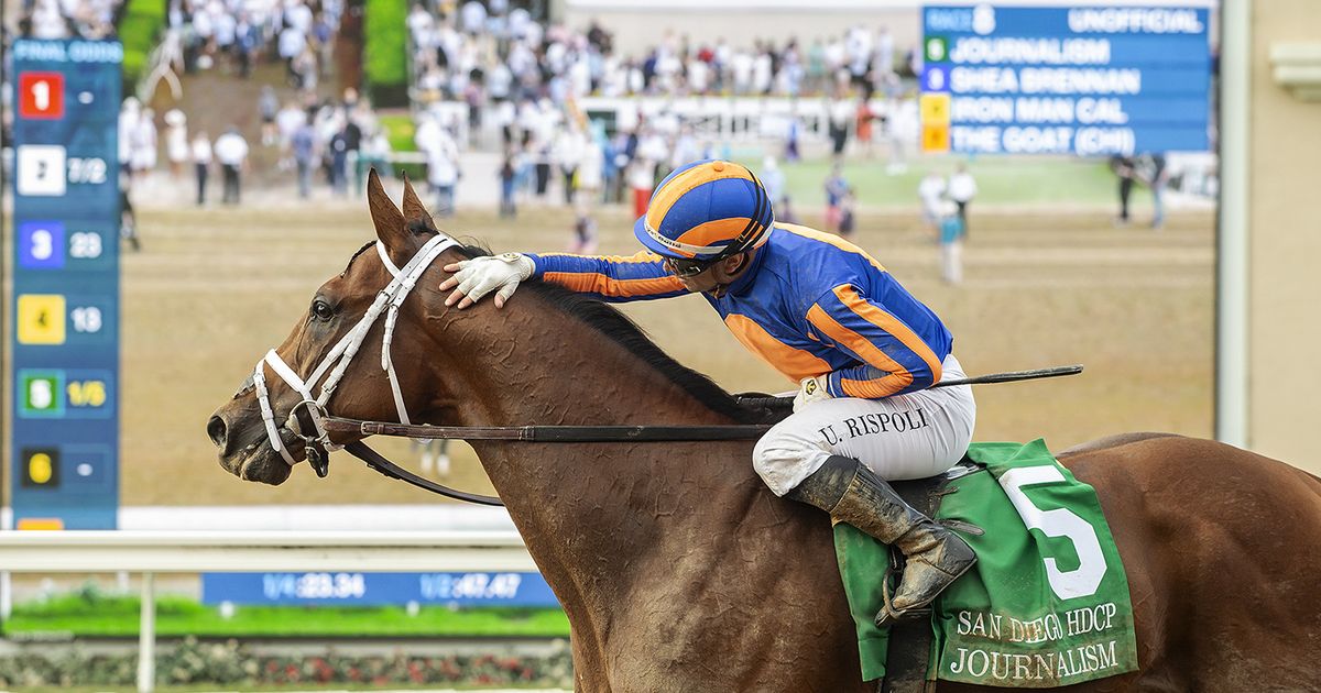 Connections pondering Journalism's route to Breeders' Cup Classic