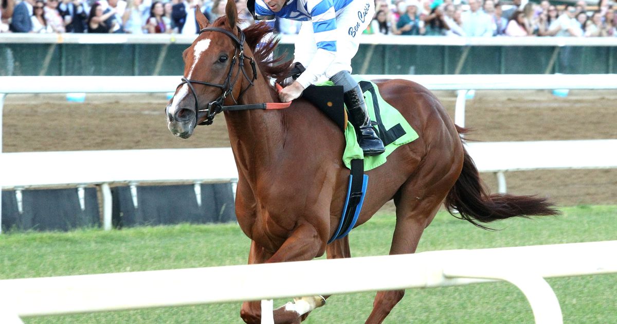 Pick six carryover at $80,363 for Saturday