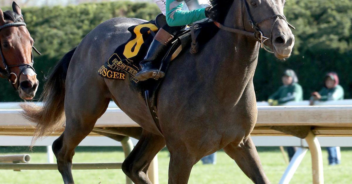 Preakness 2025: Gosger can expand Harvey Clarke Racing Stable's legacy
