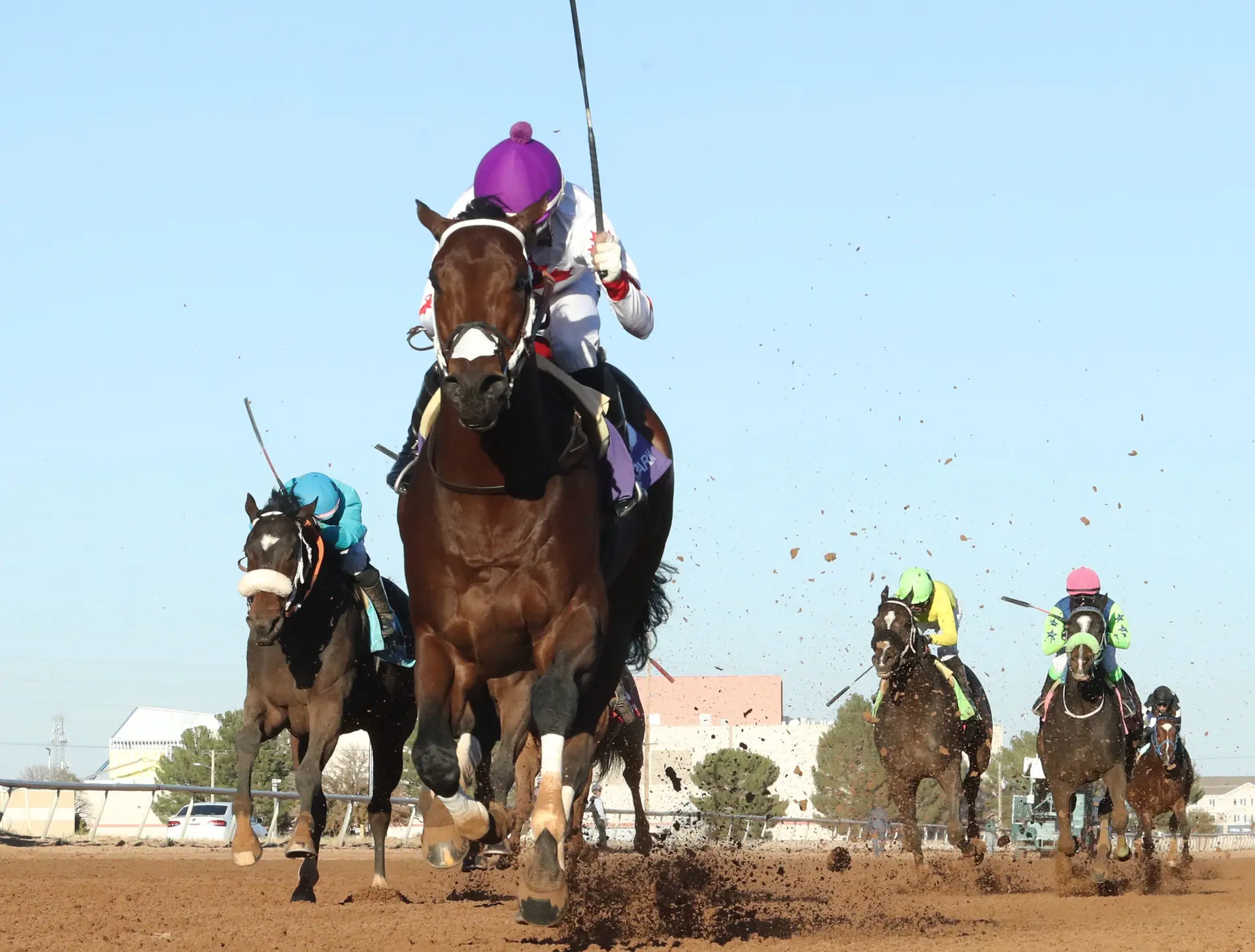 Repeat win in Cornhusker for Cornishman won't come at a price this time