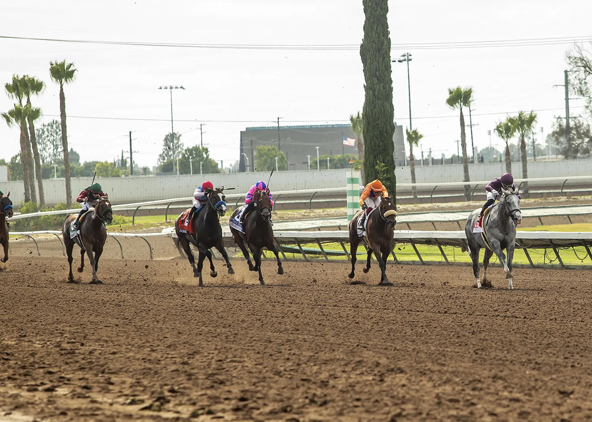 Betting handle down 5.7 percent at Los Alamitos summer meet