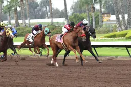 Los Alamitos alters simulcast programming