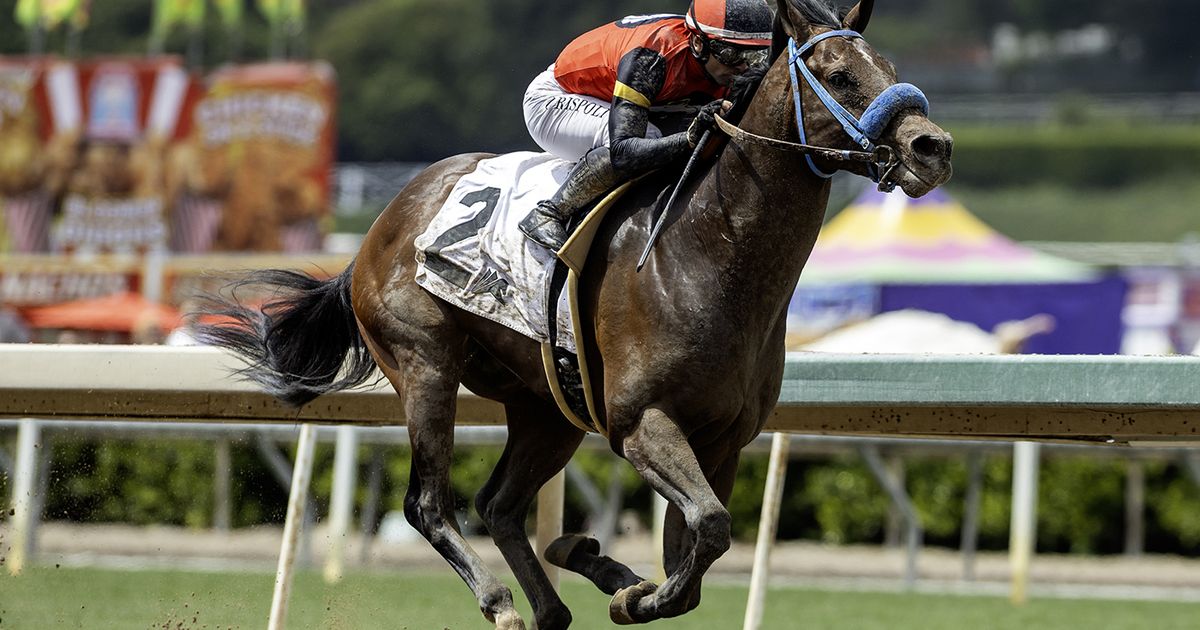 Om N Joy rallies from far back to take Melair Stakes