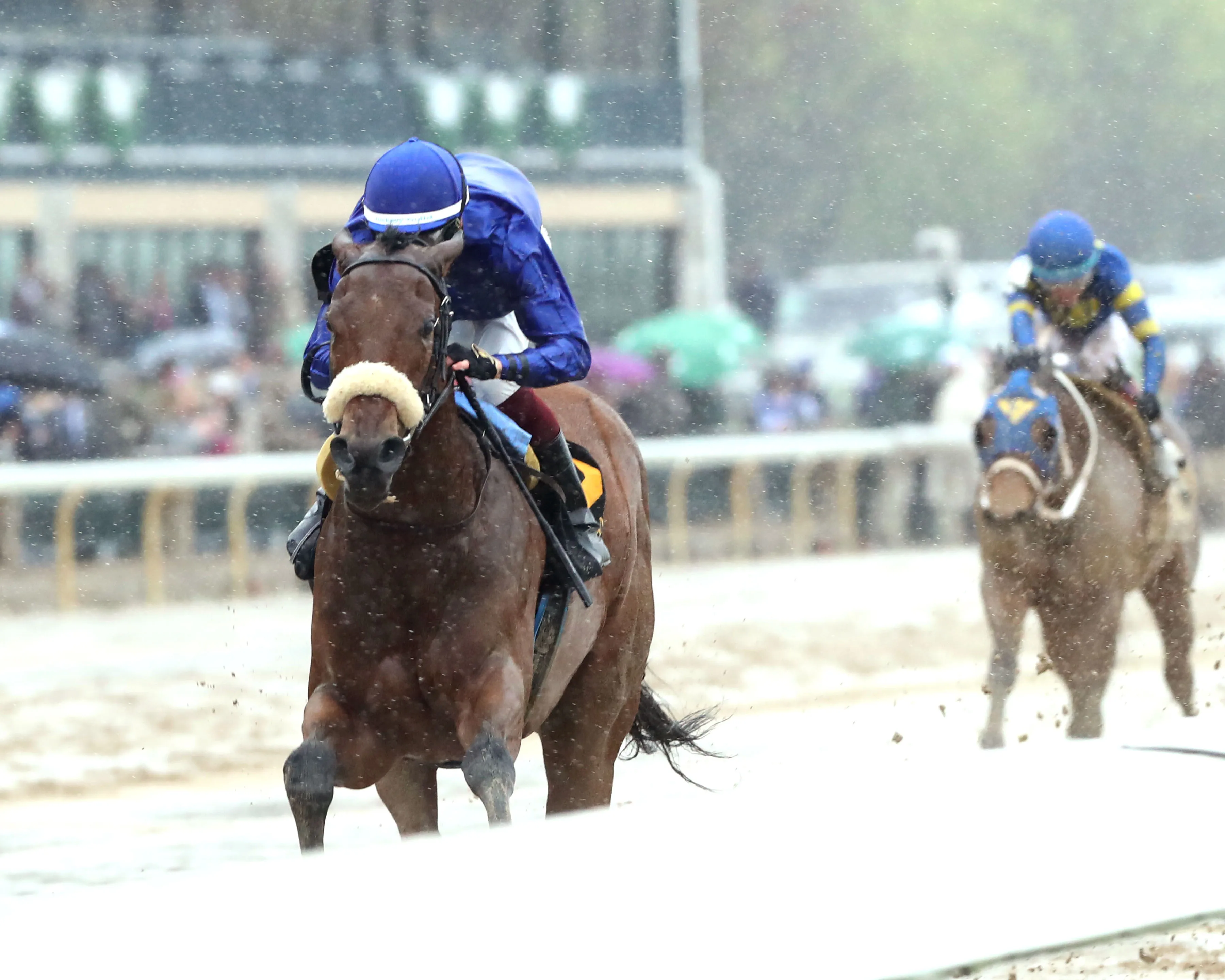 VERITY - The MiddleGround Capital Beaumont G2 - 04-06-25 - R09 - Keeneland Race Course - Inside Finish 01 - John Gallagher.jpg