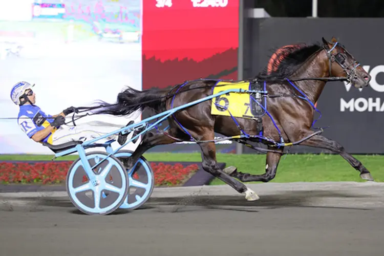 Shalom Hanover 7-10-26