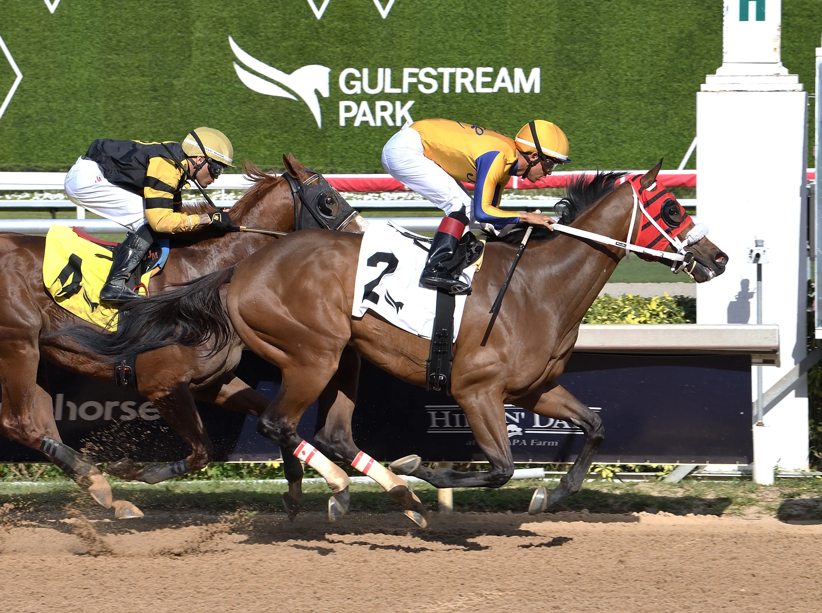 Latch the Hatch wins at GP March 26 2026