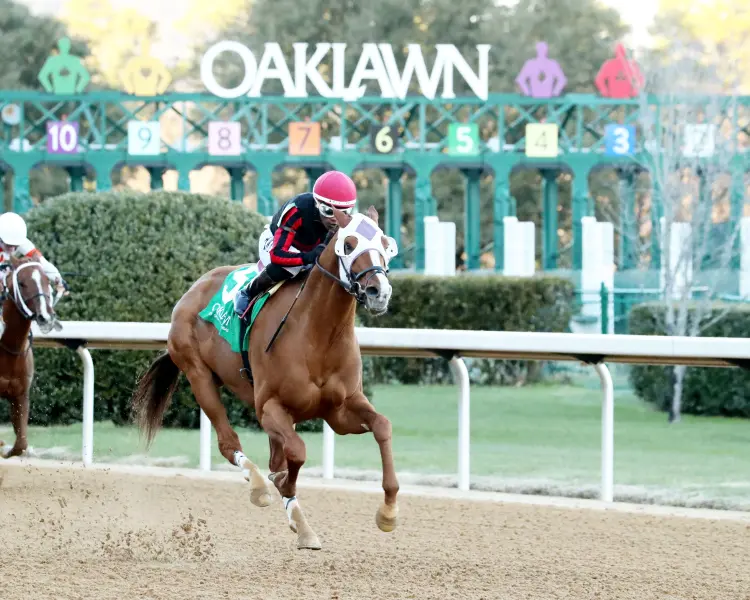 BANISHING  - The Byerley Turk Overnight Stakes - 1st Running - 01-23-25 - R09 - Oaklawn Park - Finish 02 - Renee Torbit.jpg