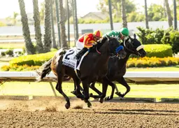 Baffert, with Sabino Canyon, continues to rule Los Alamitos Derby