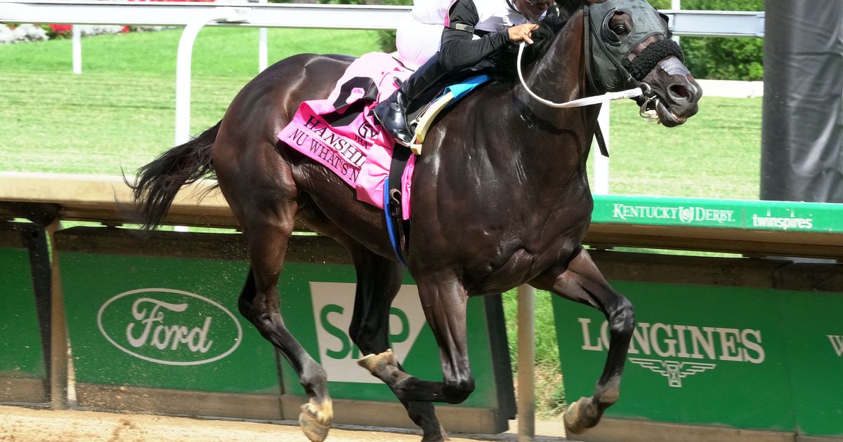 Nu What's New turns on the speed to take Hanshin Stakes