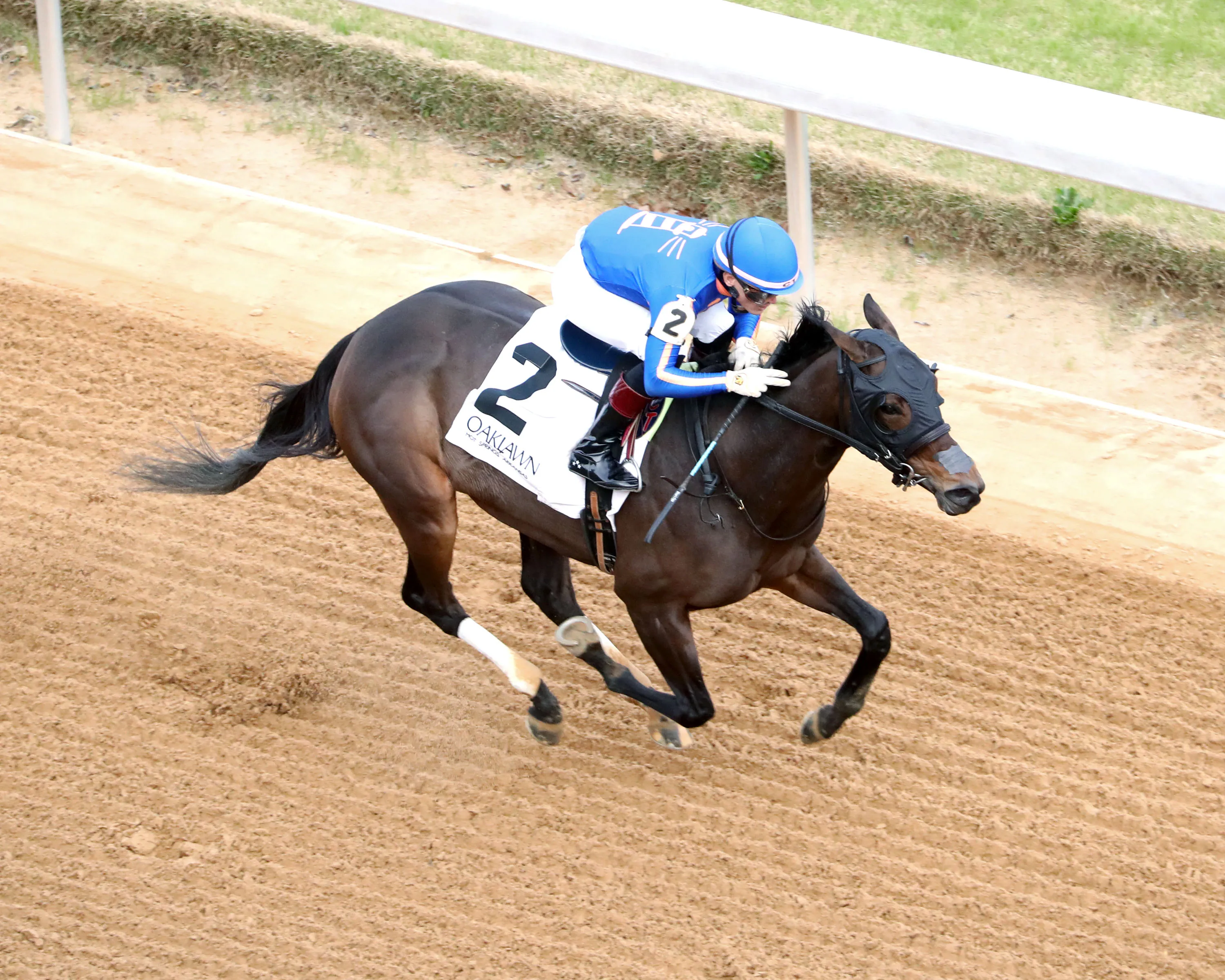 NERAZURRI - Oaklawn Sports Overnight Stakes - 1st Running - 01-01-26 - R08 - Oaklawn Park - Aerial Finish 01 - Andrew Stauffacher.jpg