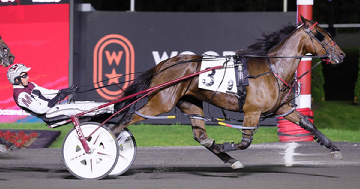 Woodbine Mohawk Park:  A Clean Deal triumphs in Friday's OSS Gold Series event