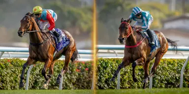 World’s top-rated sprinter Ka Ying Rising and Triple Crown winner Romantic Warrior declared co-Hong Kong Champions