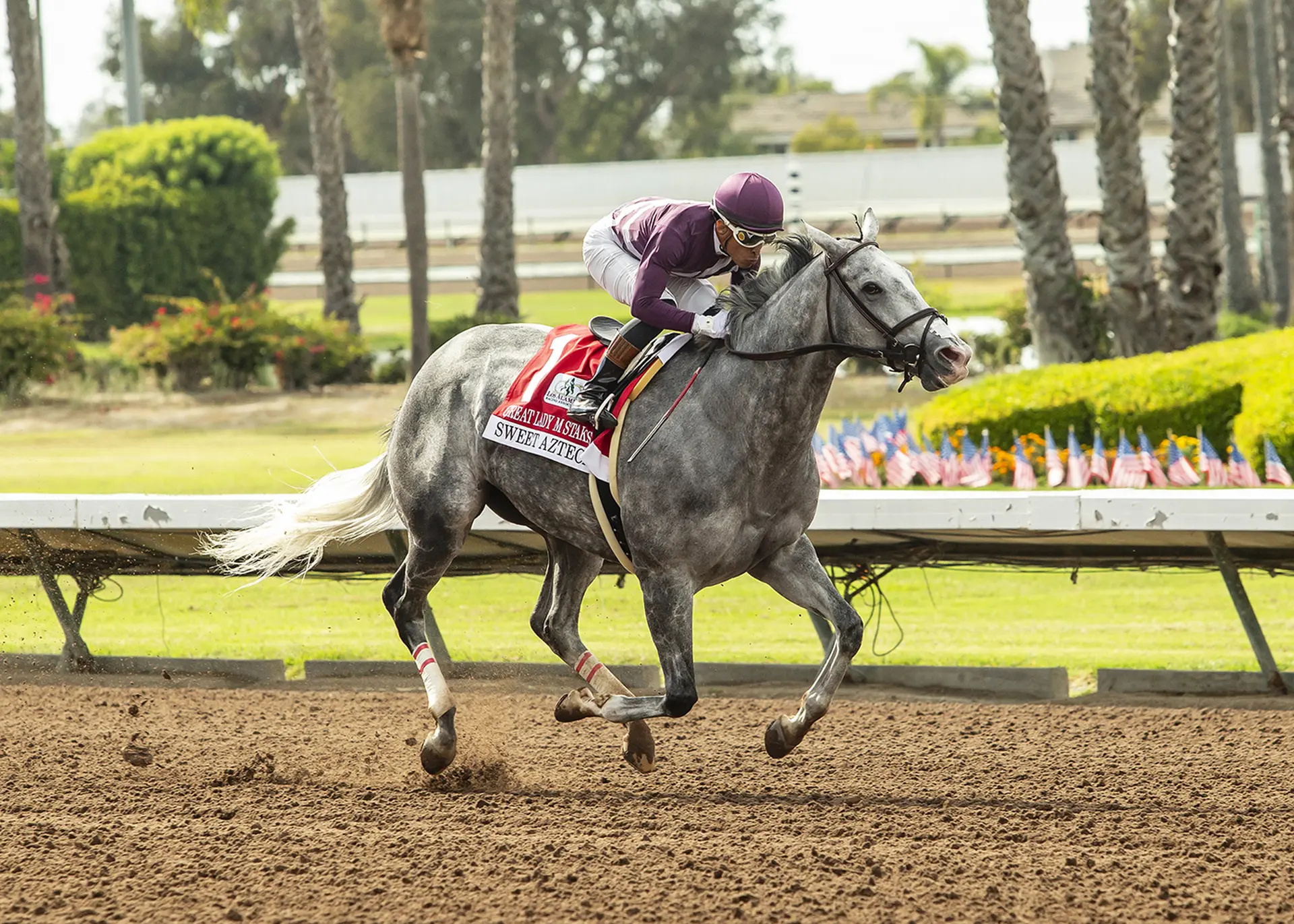 Sweet Azteca continues to rule Great Lady M.