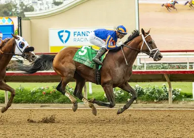 Journalism retired following injury in San Diego Handicap