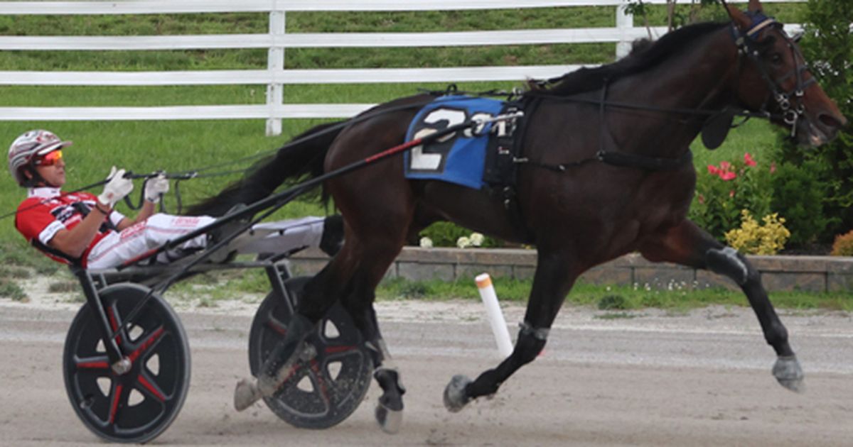 Oak Grove: Trotters clash in 17 Kentucky Sire Stakes contests