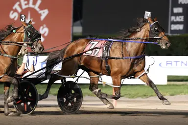 Meadowlands:  Twin B Joe Fresh triples in Dorothy Haughton Memorial
