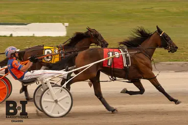 Buffalo:  Seveallisto, Jula Florence shine in New York Sire Stakes