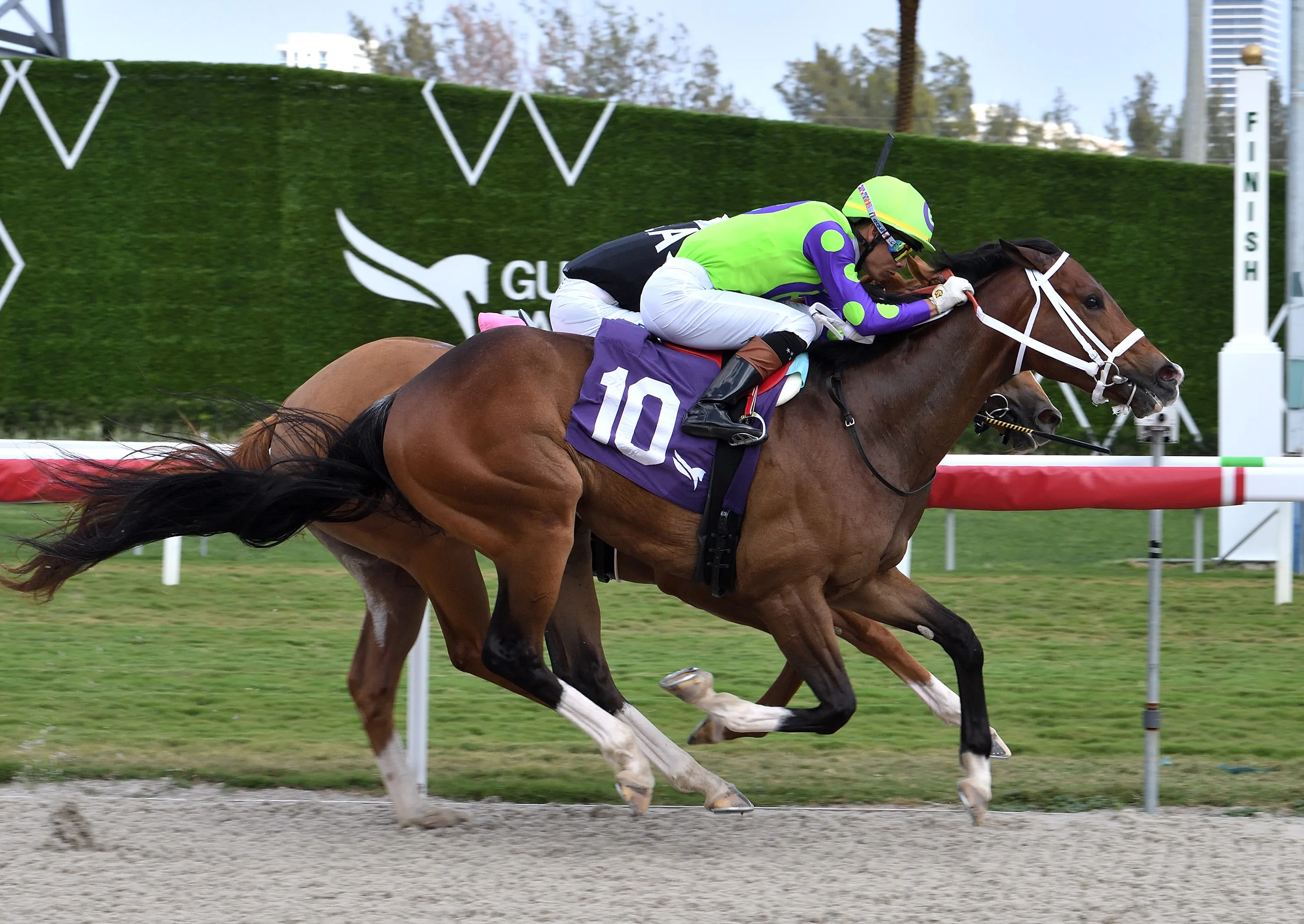 Rhum Saint Esprit wins at GP Feb 17 2024