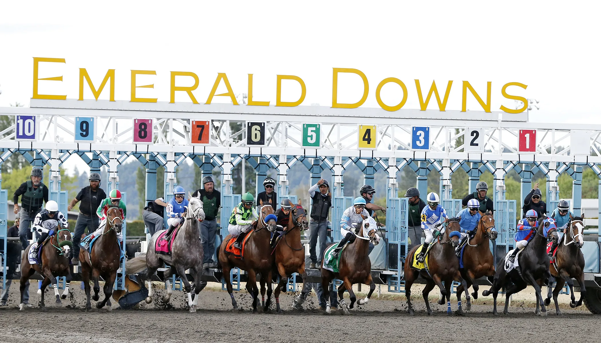 No Ordinary Tiger wheels back for 11th start of the year