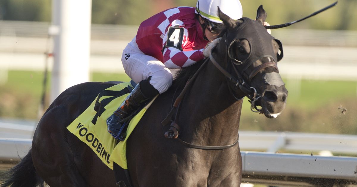 Prevue offers ramp to Road to Derby