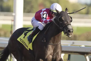 Prevue offers ramp to Road to Derby