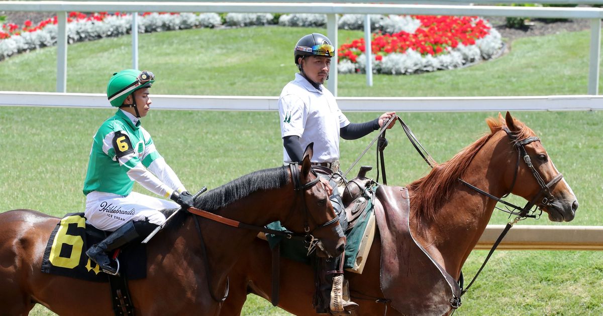 Powerline makes debut, tops noteworthy pair of maiden races