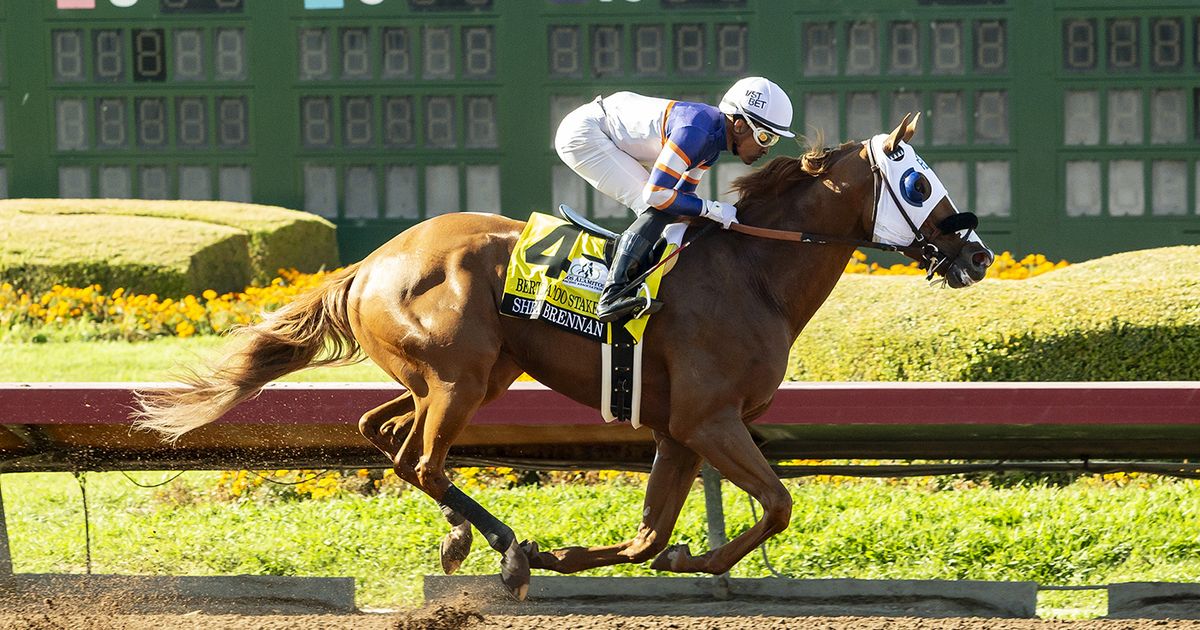 Shea Brennan, after dominating Bertrando Stakes, possible for San Diego Handicap