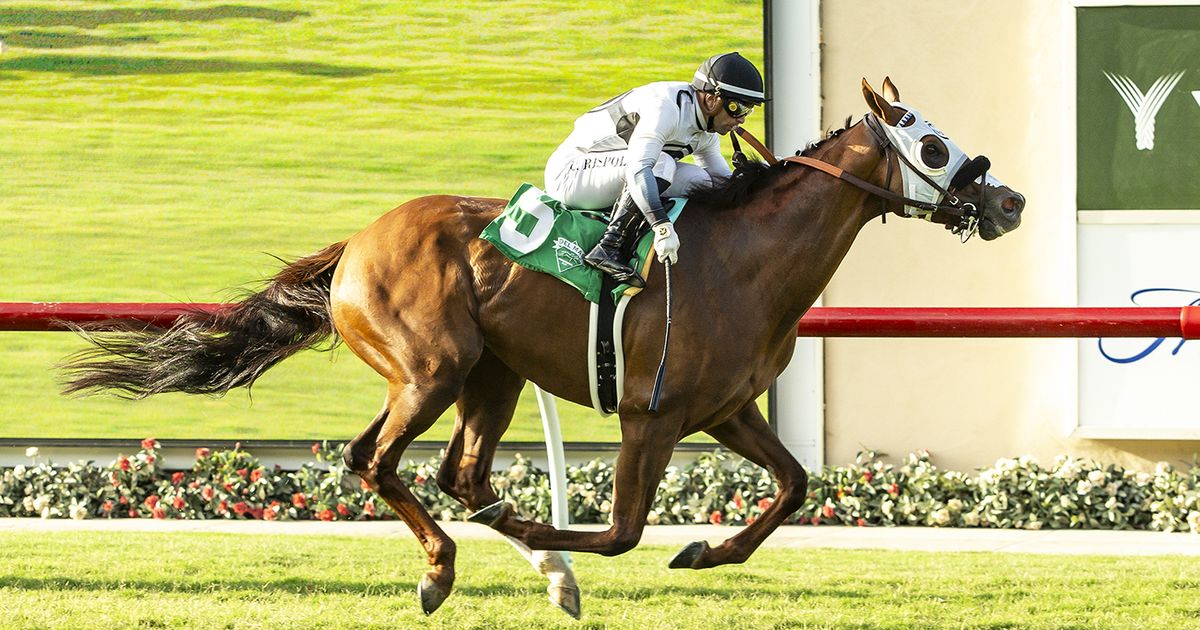 King of Gosford adapts, takes Wickerr on front end