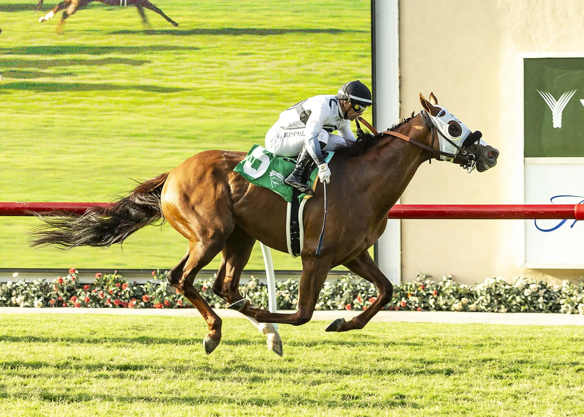 King of Gosford adapts, takes Wickerr on front end
