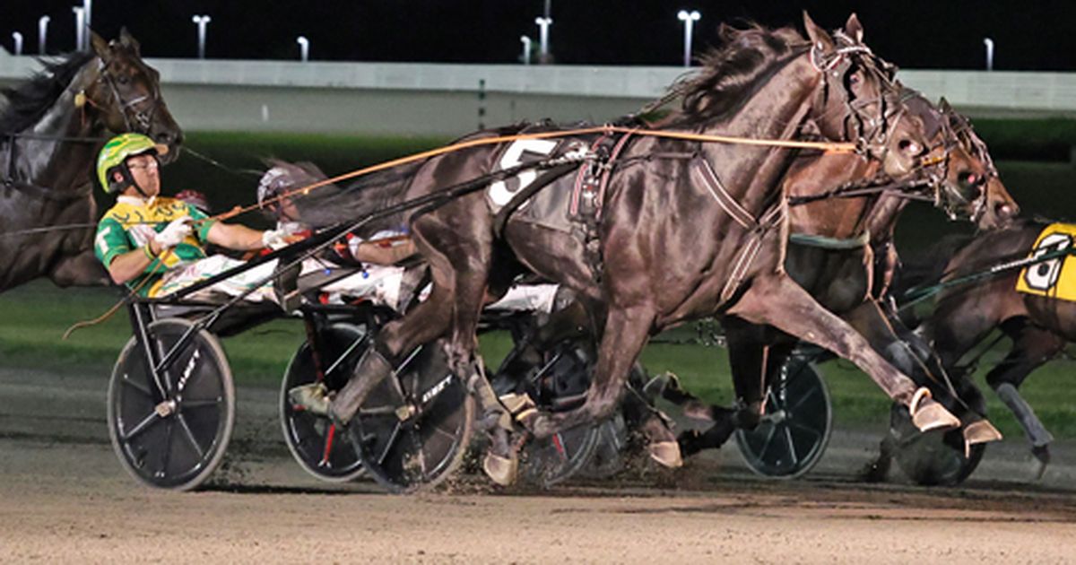 Yonkers:  Inexpressable vaults off cover to MGM Yonkers Trot title