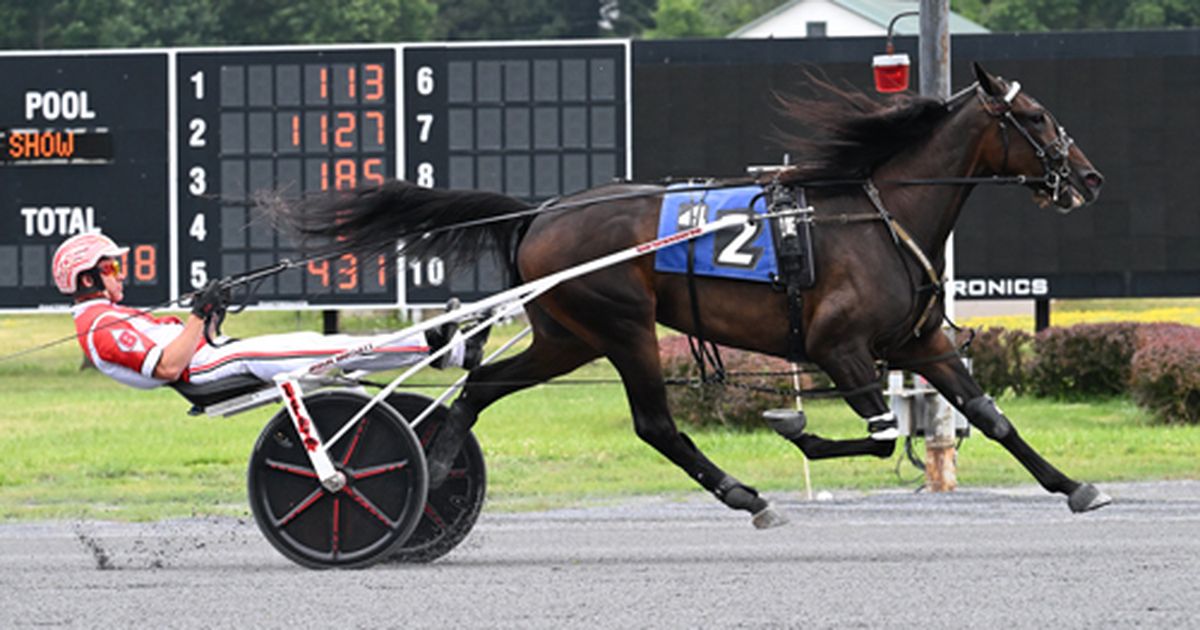 Saratoga Harness:  Who Dares Wins, Sharp Seven wire New York Sire Stakes fields