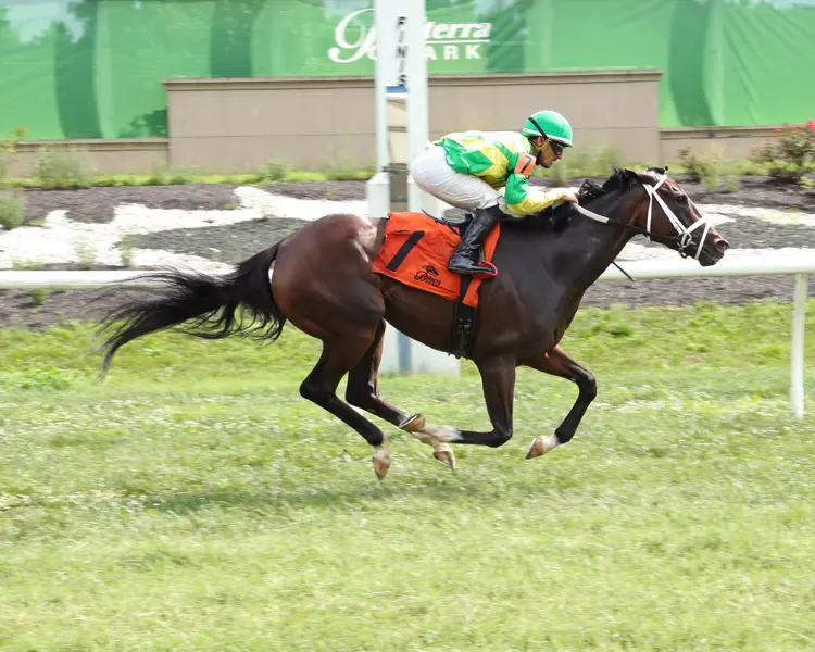 AWESOMESAUCE - The Vivacious Stakes - 07-17-26 - R08 - Belterra Park - Finish 01 - Devin Hall