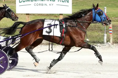 Meadowlands: Beaver with powerful pair in Maturity, Dancer; Smedshammer looks for another strong effort from Walspea