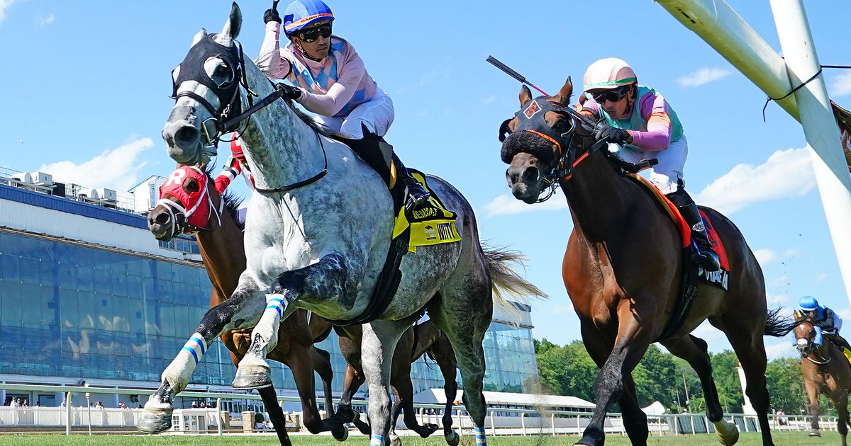 Witty flashes new dimension again in Ben's Cat victory